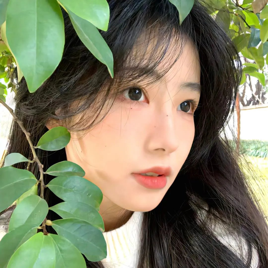 森林：随处可见
